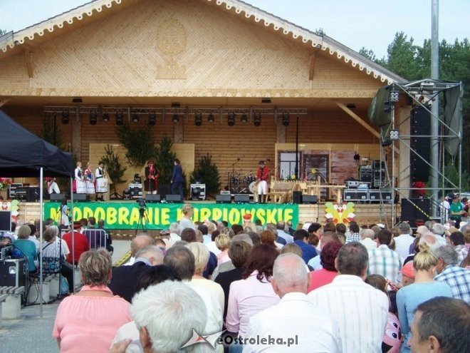 Otwarcie Miodobrania Kurpiowskiego 2014 (31.08.2014) - zdjęcie #8 - eOstroleka.pl