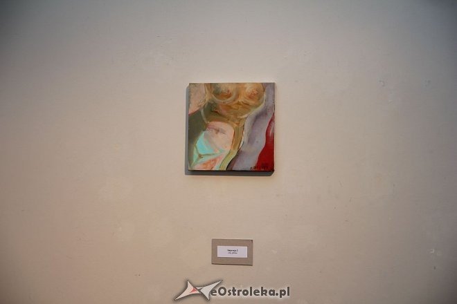 Dwie wystawy litewskich artystów w Galerii Ostrołęka [04.09.2014] - zdjęcie #37 - eOstroleka.pl