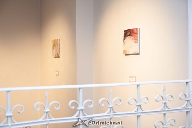 Dwie wystawy litewskich artystów w Galerii Ostrołęka [04.09.2014] - zdjęcie #31 - eOstroleka.pl