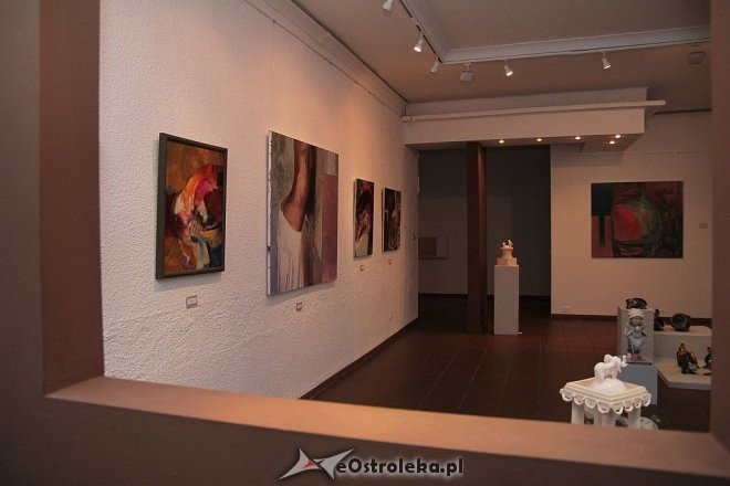 Dwie wystawy litewskich artystów w Galerii Ostrołęka [04.09.2014] - zdjęcie #28 - eOstroleka.pl