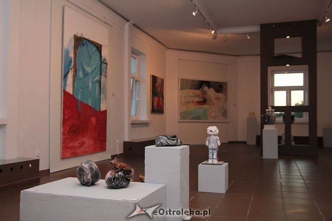 Dwie wystawy litewskich artystów w Galerii Ostrołęka [04.09.2014] - zdjęcie #8 - eOstroleka.pl