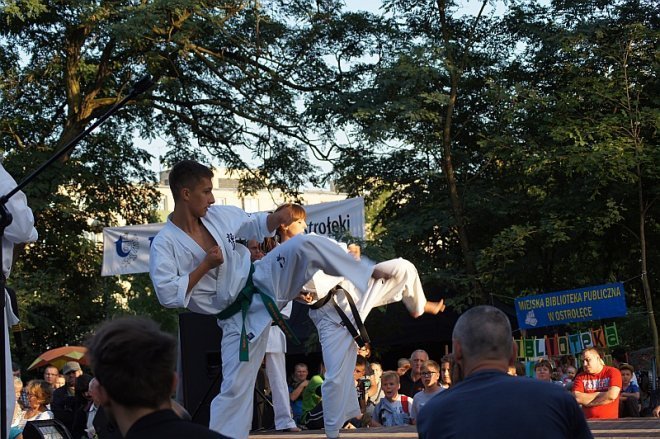 Piknik Spotkajmy się w Parku [6.09.2014] - zdjęcie #38 - eOstroleka.pl