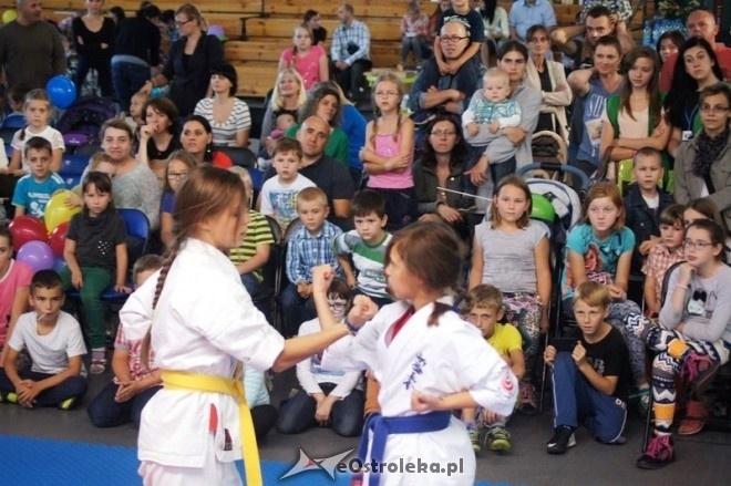Pokaz karate MKKK Shinkyokouyshin (21.09.2014) - zdjęcie #8 - eOstroleka.pl