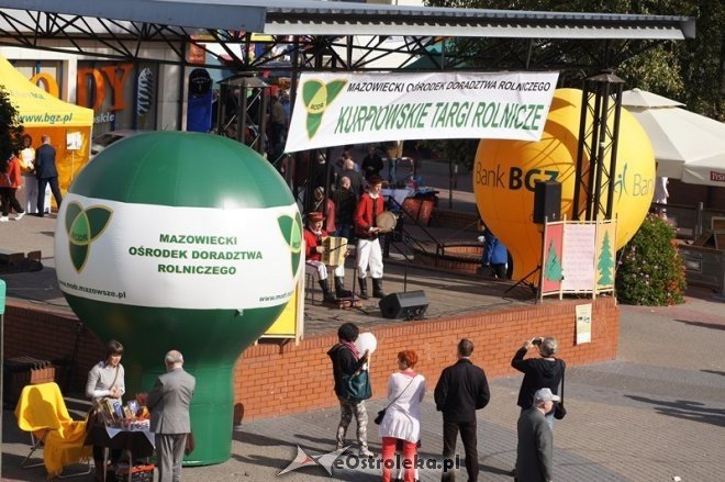 Kurpiowskie Targi Rolnicze [28.09.2014] - zdjęcie #2 - eOstroleka.pl