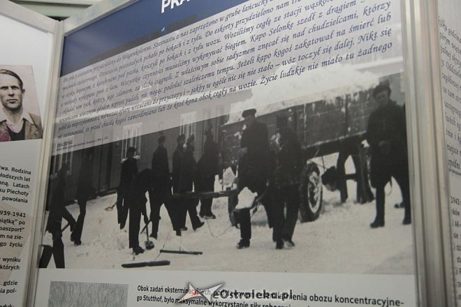 Wernisaż wystawy „Stutthof 1939 – 1945. Historia i jej świadkowe” w Muzeum Kultury Kurpiowskiej [04.10.2014] - zdjęcie #2 - eOstroleka.pl