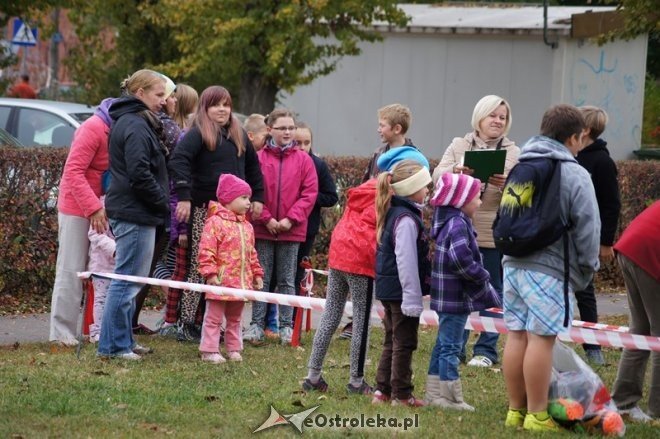 Impreza sportowo-rekreacyjna dla dzieci i młodzieży [18.10.2014] - zdjęcie #1 - eOstroleka.pl