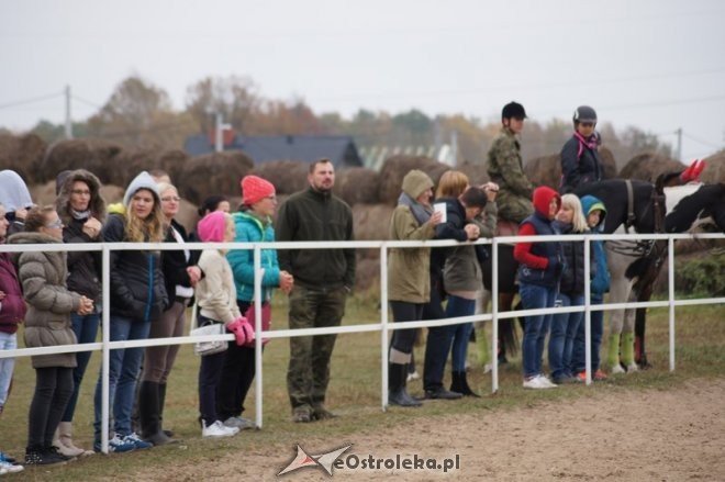 Hubertus w stajni Mustang w Dzbeninie [18.10.2014] - zdjęcie #84 - eOstroleka.pl