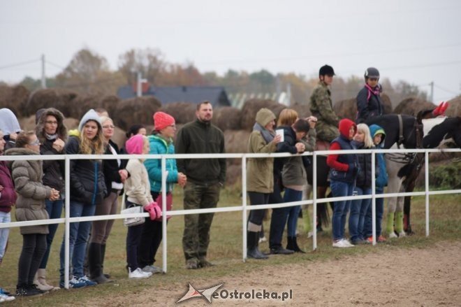 Hubertus w stajni Mustang w Dzbeninie [18.10.2014] - zdjęcie #3 - eOstroleka.pl