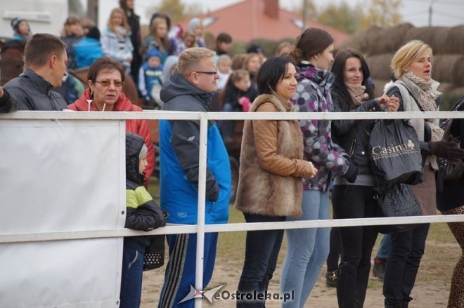 Hubertus w stajni Mustang w Dzbeninie [18.10.2014] - zdjęcie #2 - eOstroleka.pl
