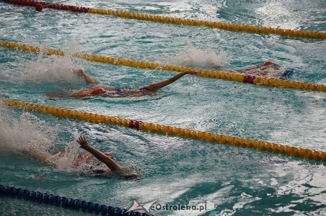 Finał Grand Prix Polski w Ratownictwie Wodnym [8.11.2014] - zdjęcie #38 - eOstroleka.pl