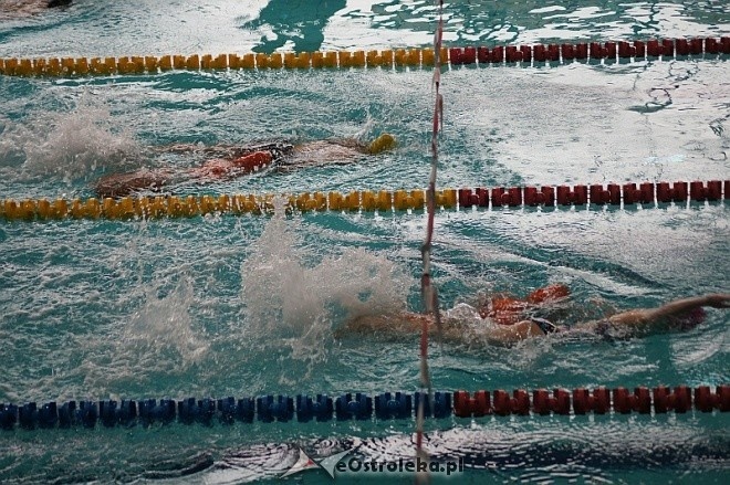 Finał Grand Prix Polski w Ratownictwie Wodnym [8.11.2014] - zdjęcie #4 - eOstroleka.pl