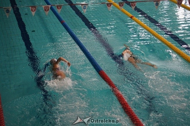 Finał Grand Prix Polski w Ratownictwie Wodnym [8.11.2014] - zdjęcie #1 - eOstroleka.pl