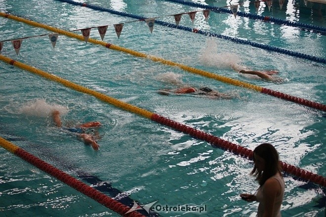 Finał Grand Prix Polski w Ratownictwie Wodnym [8.11.2014] - zdjęcie #9 - eOstroleka.pl