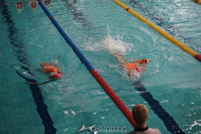 Finał Grand Prix Polski w Ratownictwie Wodnym [8.11.2014] - zdjęcie #5 - eOstroleka.pl