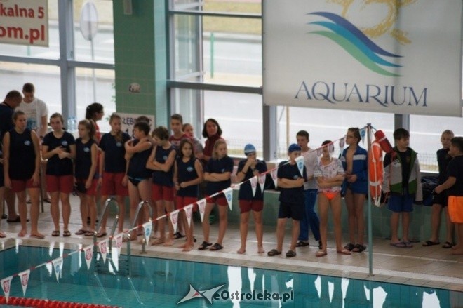 Mistrzostwa Ostrołęki w pływaniu [15.11.2014] - zdjęcie #6 - eOstroleka.pl