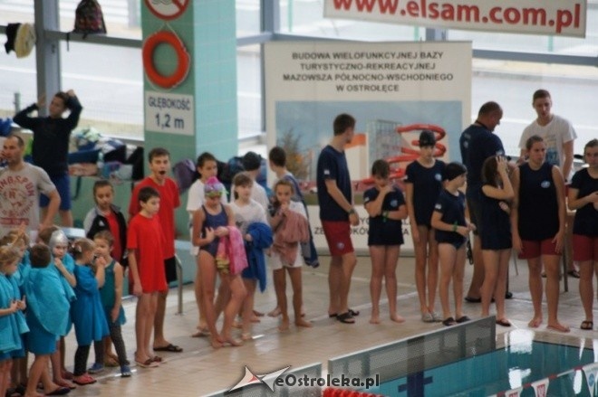 Mistrzostwa Ostrołęki w pływaniu [15.11.2014] - zdjęcie #7 - eOstroleka.pl