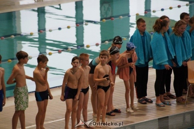 Mistrzostwa Ostrołęki w pływaniu [15.11.2014] - zdjęcie #9 - eOstroleka.pl