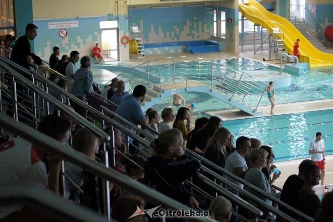 Mistrzostwa Ostrołęki w pływaniu [15.11.2014] - zdjęcie #21 - eOstroleka.pl