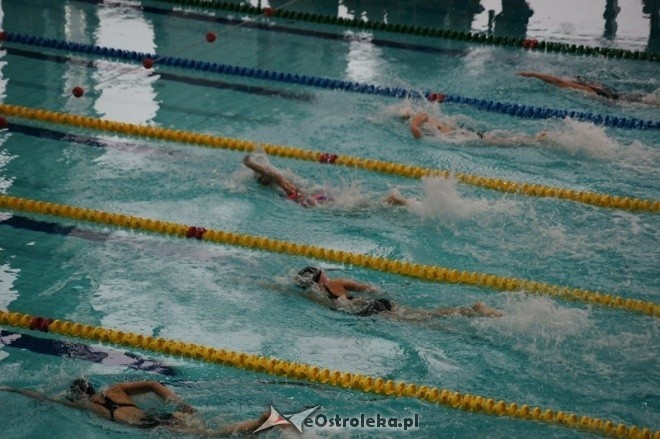 Mistrzostwa Ostrołęki w pływaniu [15.11.2014] - zdjęcie #35 - eOstroleka.pl