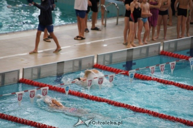 Mistrzostwa Ostrołęki w pływaniu [15.11.2014] - zdjęcie #43 - eOstroleka.pl