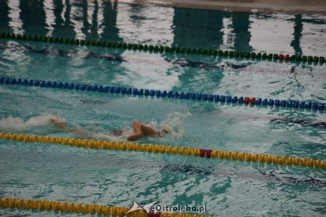 Mistrzostwa Ostrołęki w pływaniu [15.11.2014] - zdjęcie #44 - eOstroleka.pl