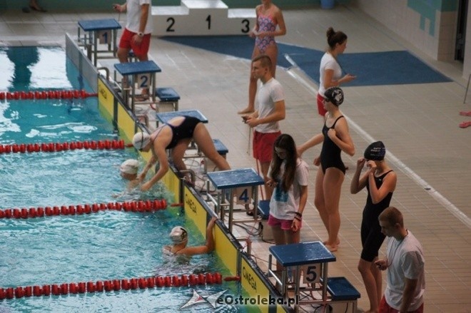 Mistrzostwa Ostrołęki w pływaniu [15.11.2014] - zdjęcie #45 - eOstroleka.pl