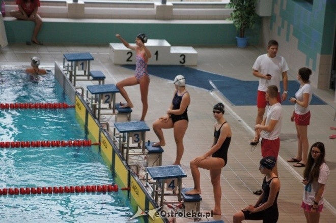 Mistrzostwa Ostrołęki w pływaniu [15.11.2014] - zdjęcie #48 - eOstroleka.pl