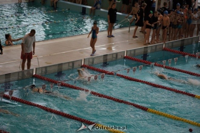 Mistrzostwa Ostrołęki w pływaniu [15.11.2014] - zdjęcie #52 - eOstroleka.pl