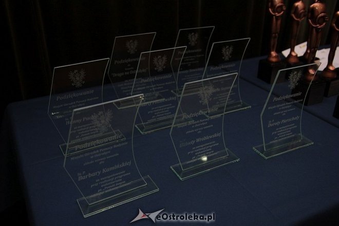 Ostrołęckie obchody Międzynarodowego Dnia Wolontariusza [05.12.2014] - zdjęcie #43 - eOstroleka.pl