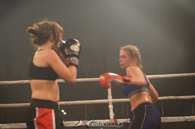 VII Gala Sztuk Walki [05.12.2014] - zdjęcie #3 - eOstroleka.pl