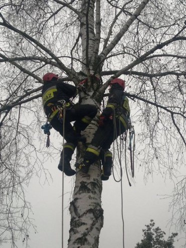 Ostrołęka: Strażackie szkolenia w ratownictwie wysokościowym [06.12.2014] - zdjęcie #1 - eOstroleka.pl