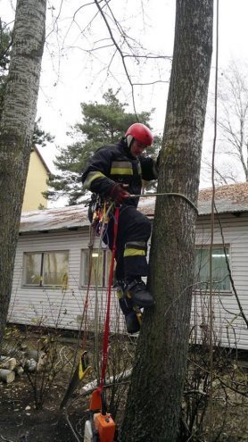 Ostrołęka: Strażackie szkolenia w ratownictwie wysokościowym [06.12.2014] - zdjęcie #5 - eOstroleka.pl