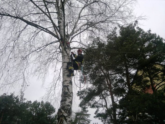 Ostrołęka: Strażackie szkolenia w ratownictwie wysokościowym [06.12.2014] - zdjęcie #3 - eOstroleka.pl