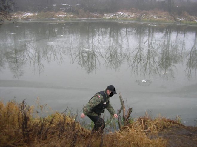 Podduszone ryby w Narwi. Społeczna straż rybacka walczy z przyduchą [08.12.2014] - zdjęcie #8 - eOstroleka.pl