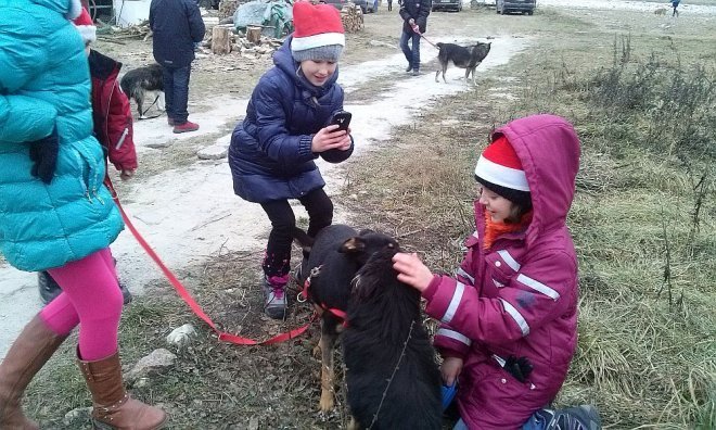 Mikołajki w schronisku w Kruszewie [09.12.2014] - zdjęcie #22 - eOstroleka.pl