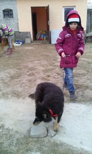 Mikołajki w schronisku w Kruszewie [09.12.2014] - zdjęcie #15 - eOstroleka.pl