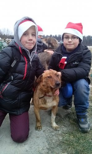 Mikołajki w schronisku w Kruszewie [09.12.2014] - zdjęcie #6 - eOstroleka.pl