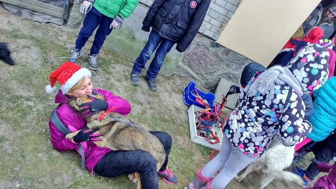 Mikołajki w schronisku w Kruszewie [09.12.2014] - zdjęcie #2 - eOstroleka.pl
