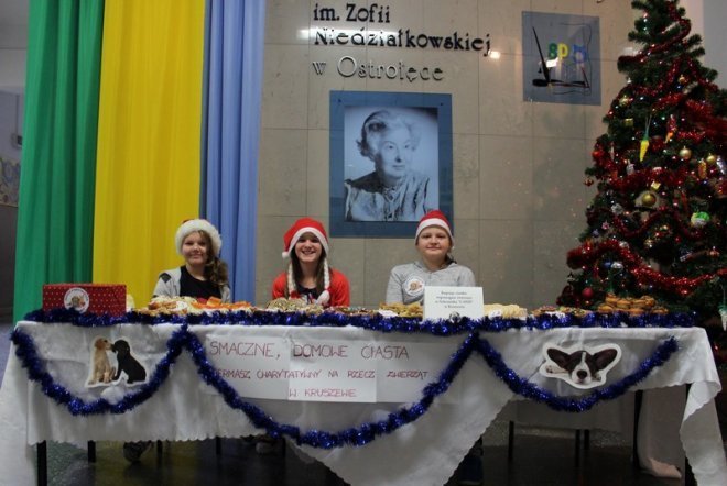 Ostrołęka: Przedświąteczna zbiórka darów dla schroniska w Kruszewie [26.12.2014] - zdjęcie #1 - eOstroleka.pl