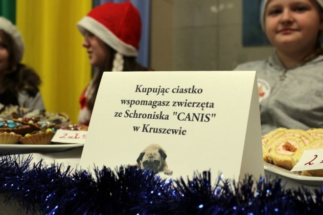Ostrołęka: Przedświąteczna zbiórka darów dla schroniska w Kruszewie [26.12.2014] - zdjęcie #3 - eOstroleka.pl