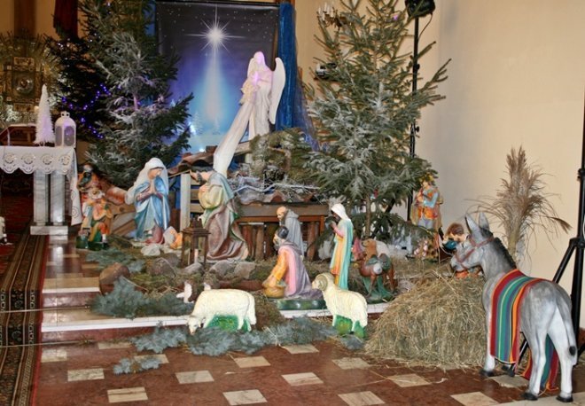 Bożonarodzeniowe szopki w przasnyskich kościołach 2014 - zdjęcie #8 - eOstroleka.pl