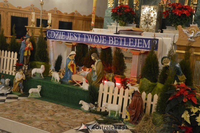 Bożonarodzeniowe szopki w ostrołęckich kościołach - 2014 - zdjęcie #9 - eOstroleka.pl