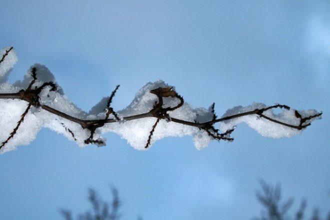 Zimowy Przasnysz - zdjęcie #11 - eOstroleka.pl