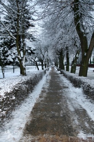 Zimowy Przasnysz - zdjęcie #5 - eOstroleka.pl