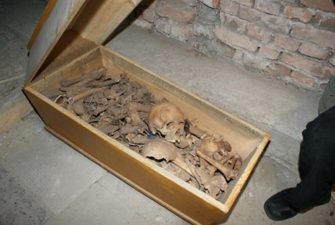 Krypty pod Klasztorem - zdjęcie #19 - eOstroleka.pl