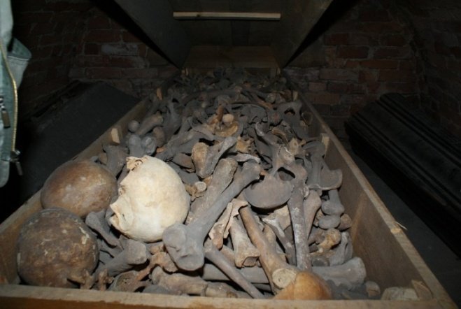 Krypty pod Klasztorem - zdjęcie #18 - eOstroleka.pl