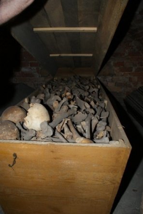 Krypty pod Klasztorem - zdjęcie #17 - eOstroleka.pl