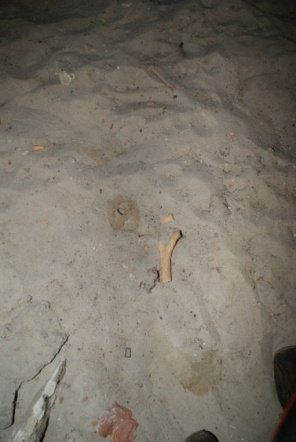 Krypty pod Klasztorem - zdjęcie #7 - eOstroleka.pl