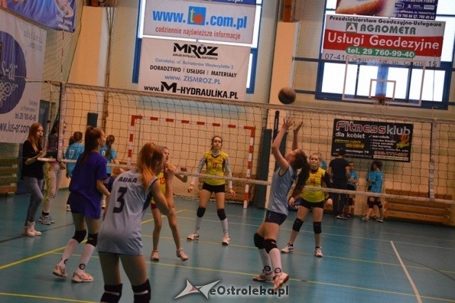 Turniej minisiatkówki dziewcząt [07.02.2015] - zdjęcie #2 - eOstroleka.pl