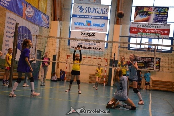 Turniej minisiatkówki dziewcząt [07.02.2015] - zdjęcie #3 - eOstroleka.pl